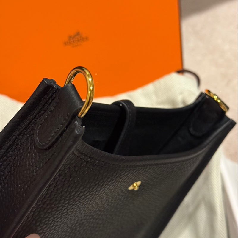 Hermes Evelyne mini-3