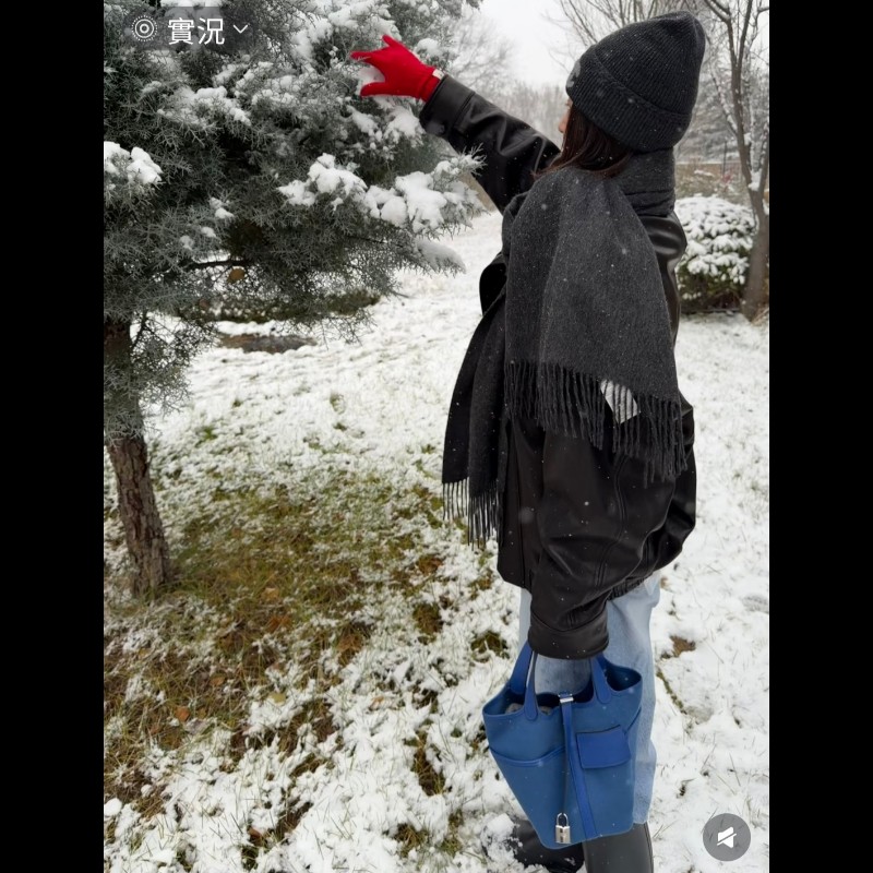 Hermes 愛馬仕 菜籃子 picotin 18 cargo 帆布拼皮革-2