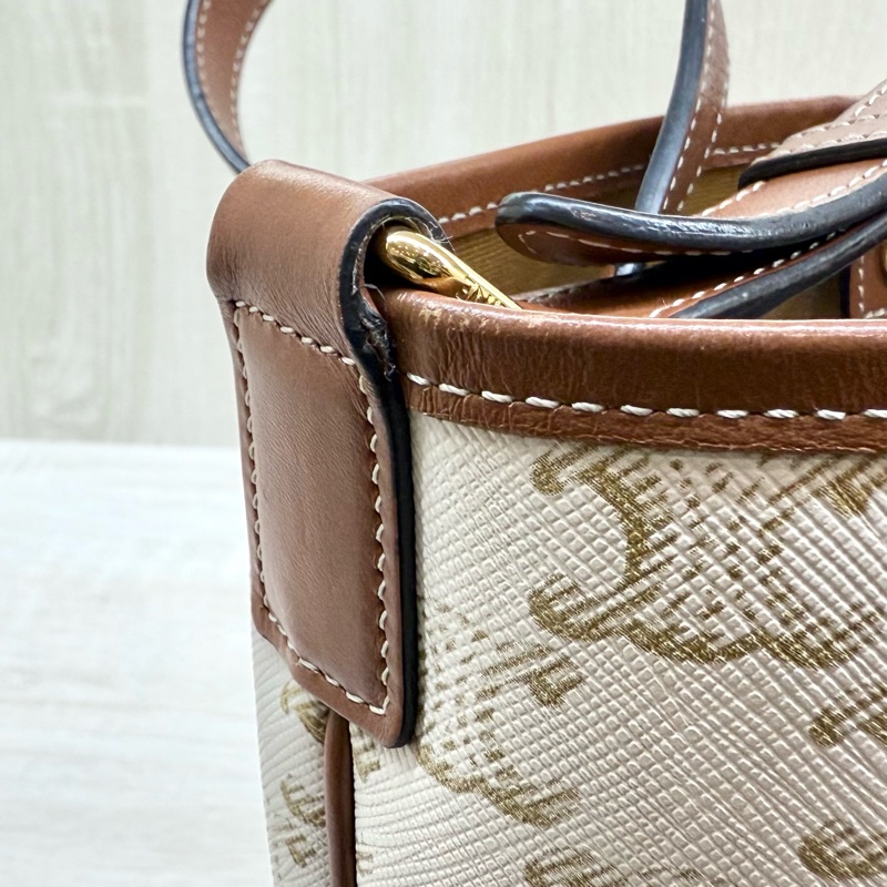 CELINE白原花牛皮Bucket小號水桶包191442CAS.04LU-12