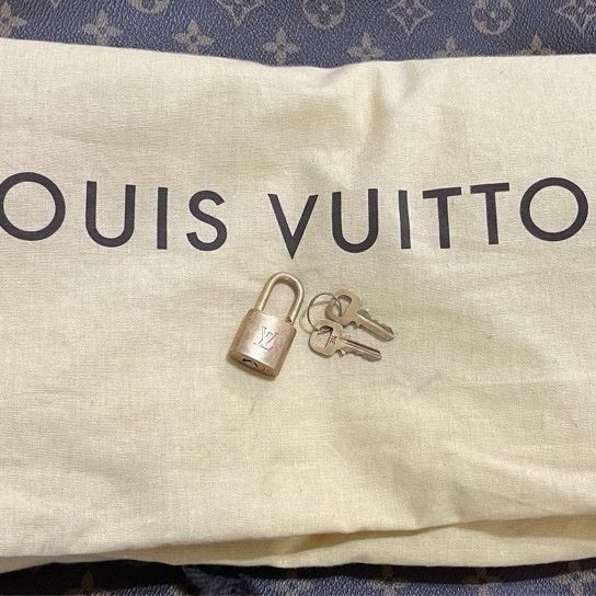 LV 手提行李箱-25