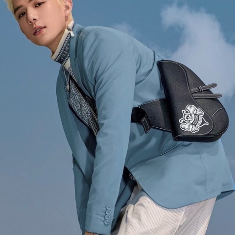 Dior 蜜蜂骷顱頭kwas聯名馬鞍包 23*20*4 99新配件塵袋購證