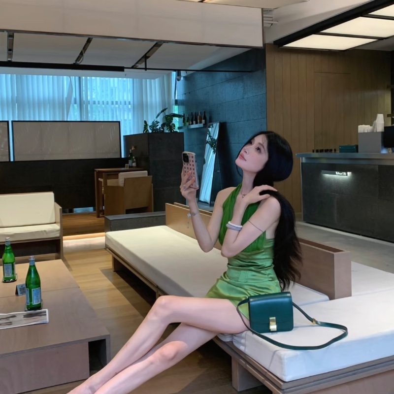 CELINE ClassicBOX荔枝紋 牛皮中號肩背斜背包23*17*6 98新配件塵袋-0