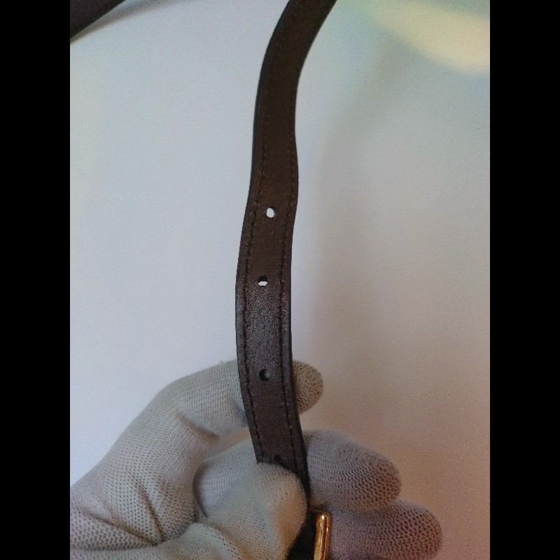 Gucci 咖皮邊綠紅綠GG 印花pvc兩用波士頓包-25