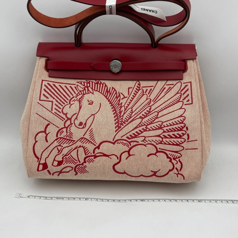 Hermes 愛馬仕 Herbag31 紅色飛馬帆布配馬鞍皮飛馬圖案限量款單肩包 z刻-19