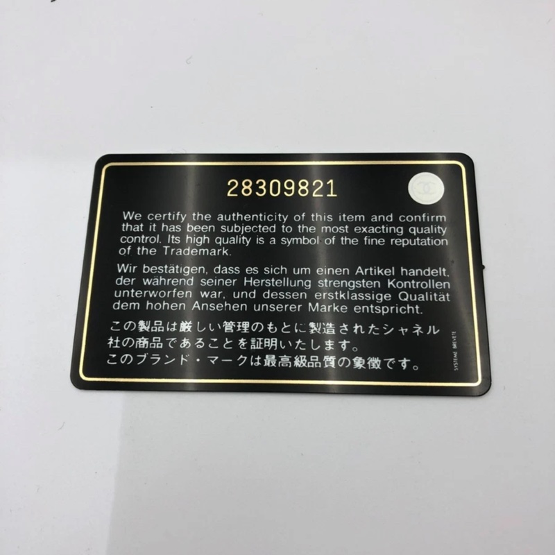 擱置品Chanel香奈兒流浪包中號鱷魚皮壓紋黑色鏈條包-9