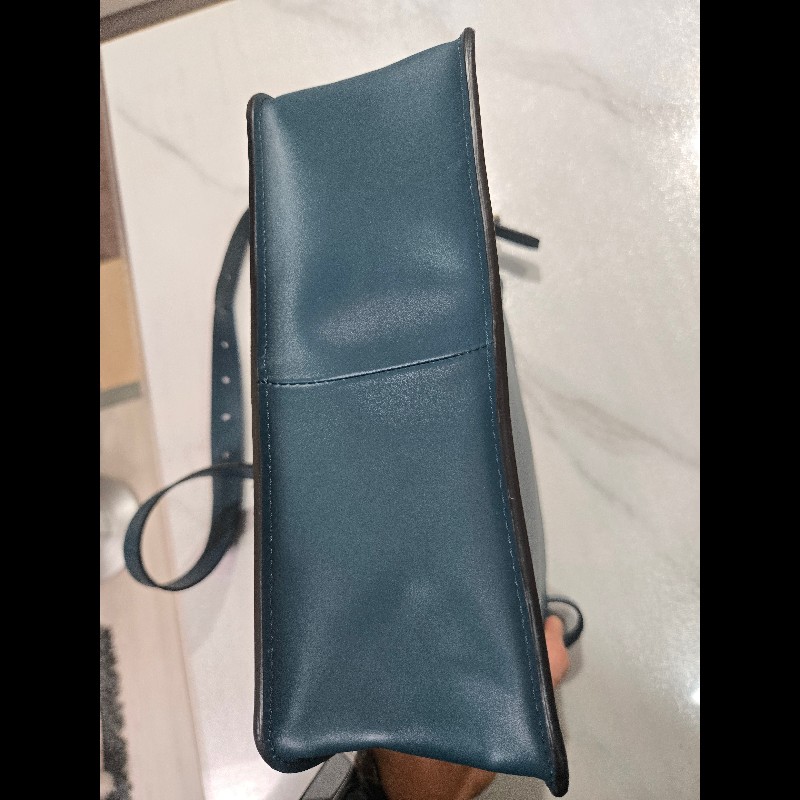 Longchamp LE FOULONNE愛馬仕款斜背包-3