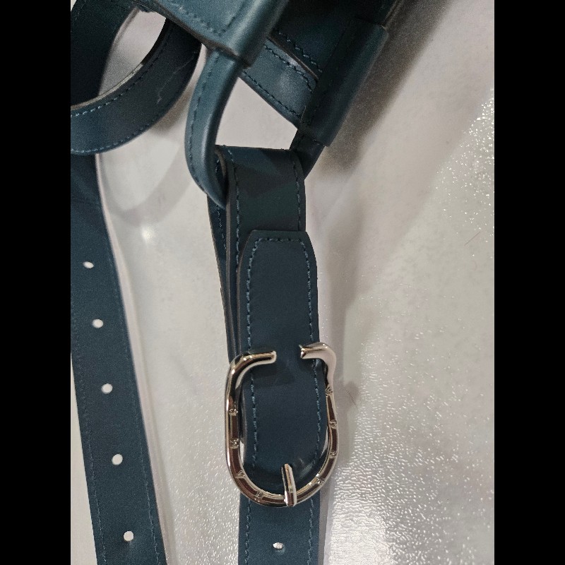 Longchamp LE FOULONNE愛馬仕款斜背包-6