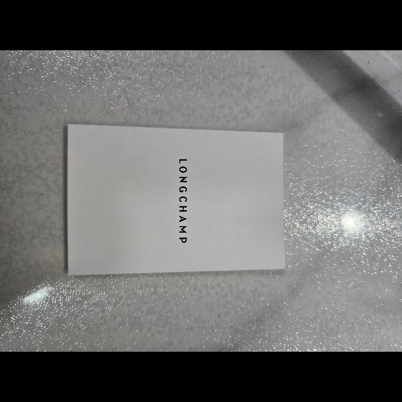 Longchamp LE FOULONNE愛馬仕款斜背包-17