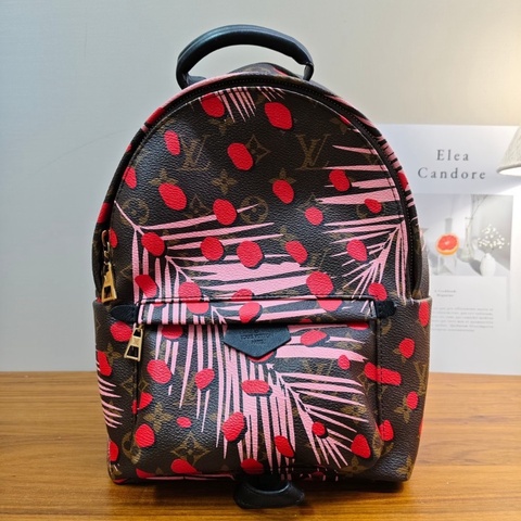 LV 限量款熱帶雨林後背包20*30*9 98新配件塵袋