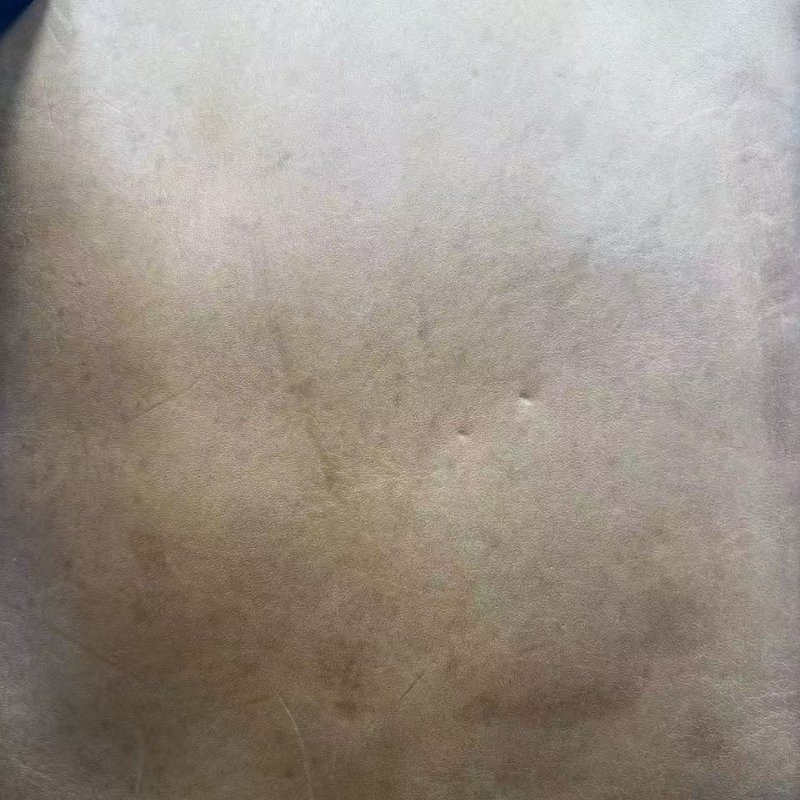 路易威登 Noé 系列老花水桶包-19