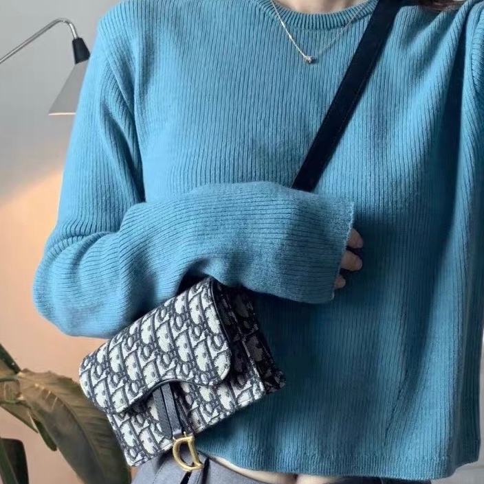 dior迪奧老花腰包oblique刺繡單肩包-8