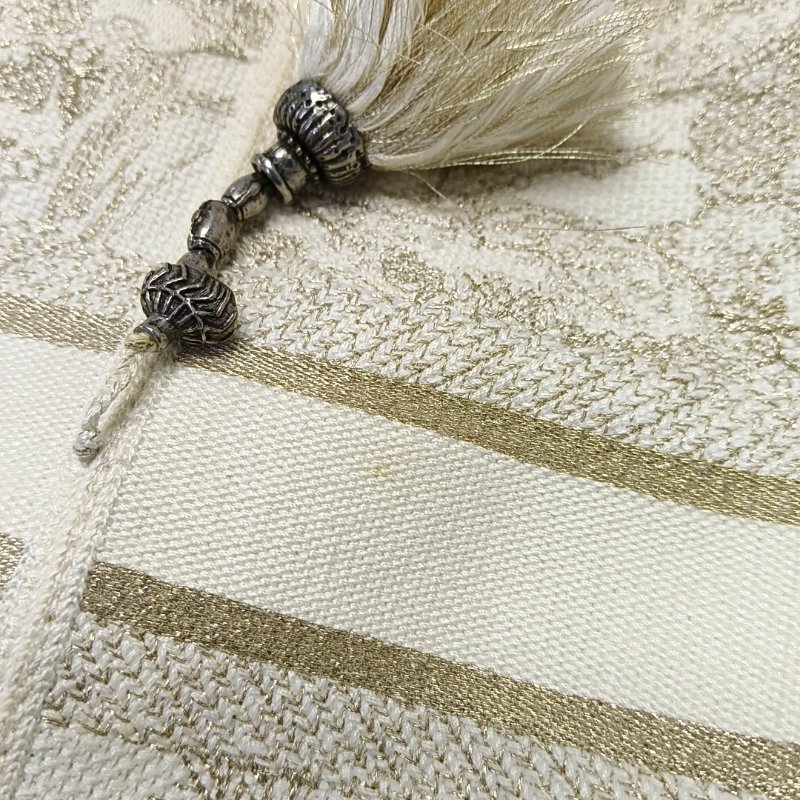 DIOR D-Bubble白色織物刺繡流蘇單肩包手提包銀色五金-8