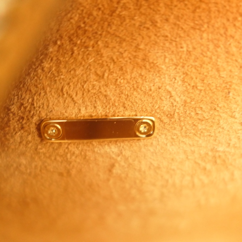 Delvaux Cool Box mini經典尺寸,金金經典配色,9成9新-15