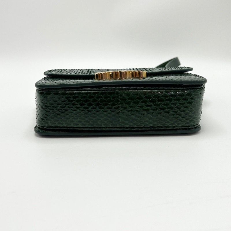 CELINE 凱旋門teen寶石綠蛇皮肩背斜背包18.5*14*5 98新配件塵袋-4