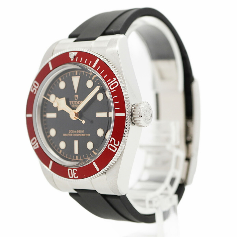 帝舵碧灣系列 7941A1A0RU 錶盤男士腕錶-2