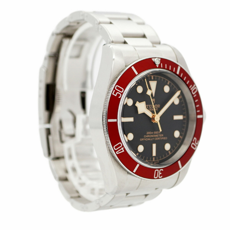 帝舵碧灣系列 79230R 錶盤男士腕錶-3