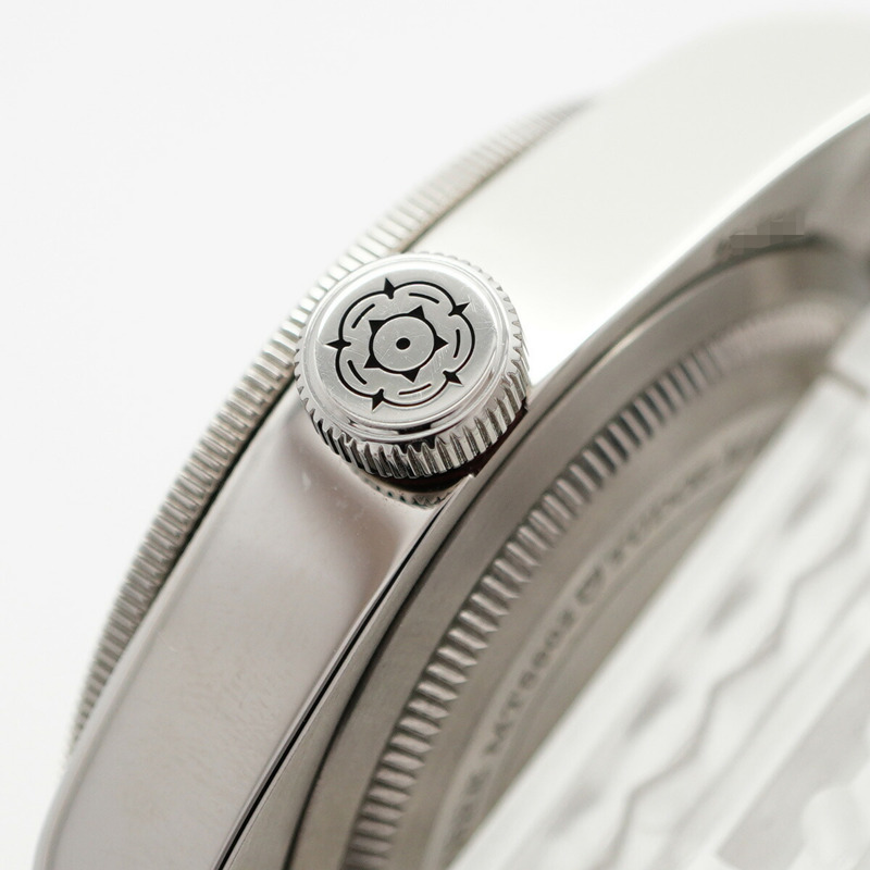 帝舵碧灣系列 79230R 錶盤男士腕錶-10