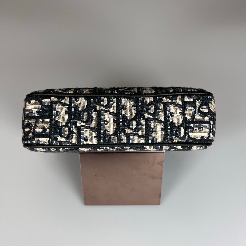 DIOR  老花相機包小-4