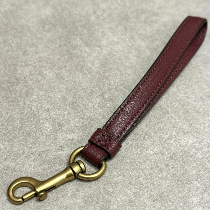 {全新品💗}Coach Tabby Colorblock Woc鏈條包-4