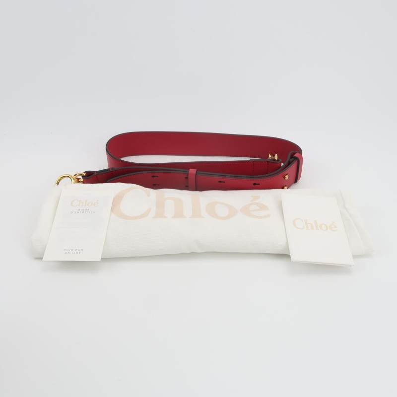 Chloe Tess小號牛皮翻毛皮純色鱷魚壓紋圓環搭扣斜挎包單肩包-8