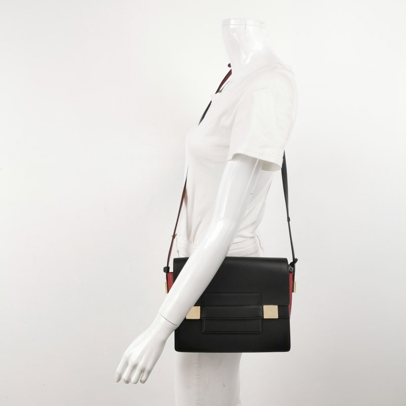 Delvaux Madame牛皮拼色抽取式翻蓋斜挎包單肩包-1