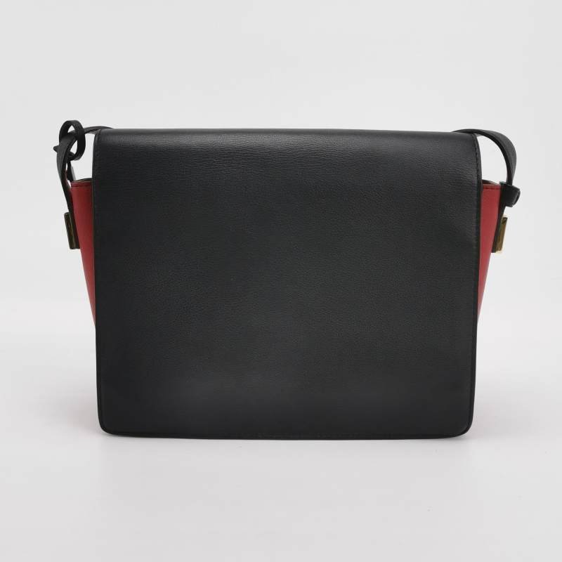 Delvaux Madame牛皮拼色抽取式翻蓋斜挎包單肩包-4