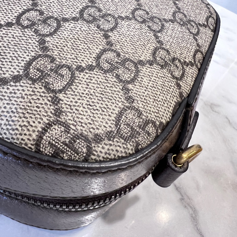 Gucci Pvc咖牛皮霧金釦虎頭斜背相機包-12