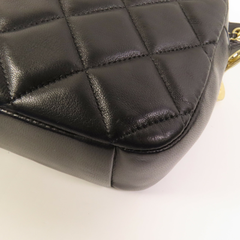 CHANEL 羊皮皮革Camera Bag金扣肩背袋-11