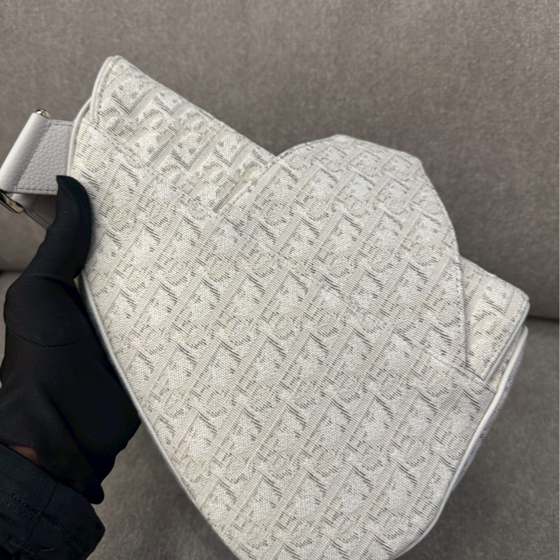 DIOR白老花馬鞍包-2