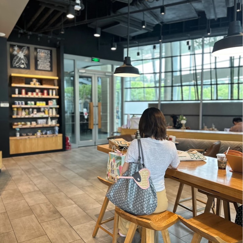 Goyard 戈雅 灰色購物袋 GM-1