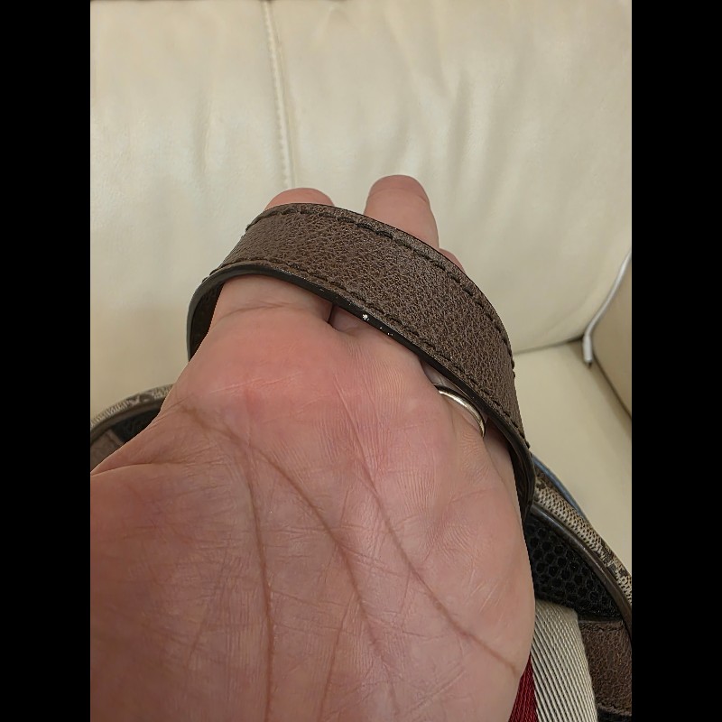 Guuci 貓咪後背包GUCCI 古馳 GG Supreme Mystic Cat 三
色織帶帆布後背包-16