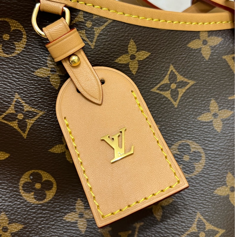 LV louisvuitton M46203 CarryAll PM 經典老花-2