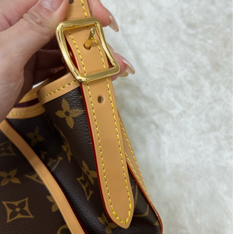 LV louisvuitton M46203 CarryAll PM 經典老花-8