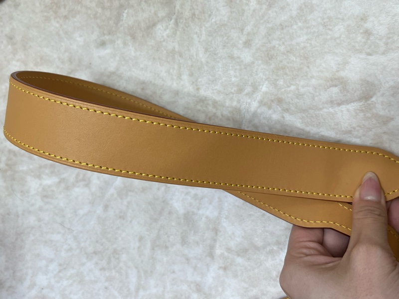 LV louisvuitton M46203 CarryAll PM 經典老花-11