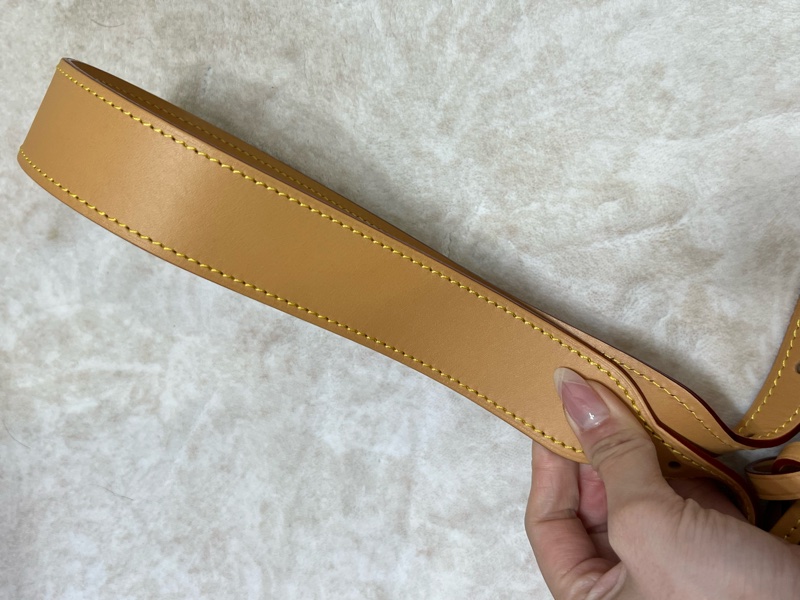 LV louisvuitton M46203 CarryAll PM 經典老花-12