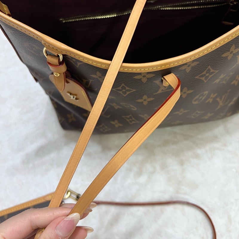 LV louisvuitton M46203 CarryAll PM 經典老花-15