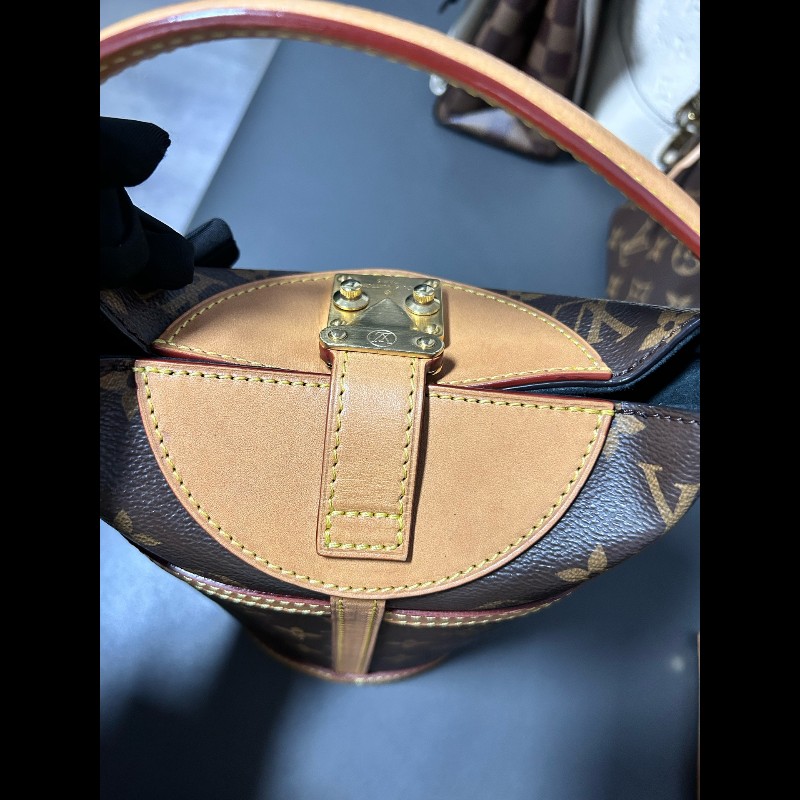 LV路易威登Duffle系列老花薯條包-4