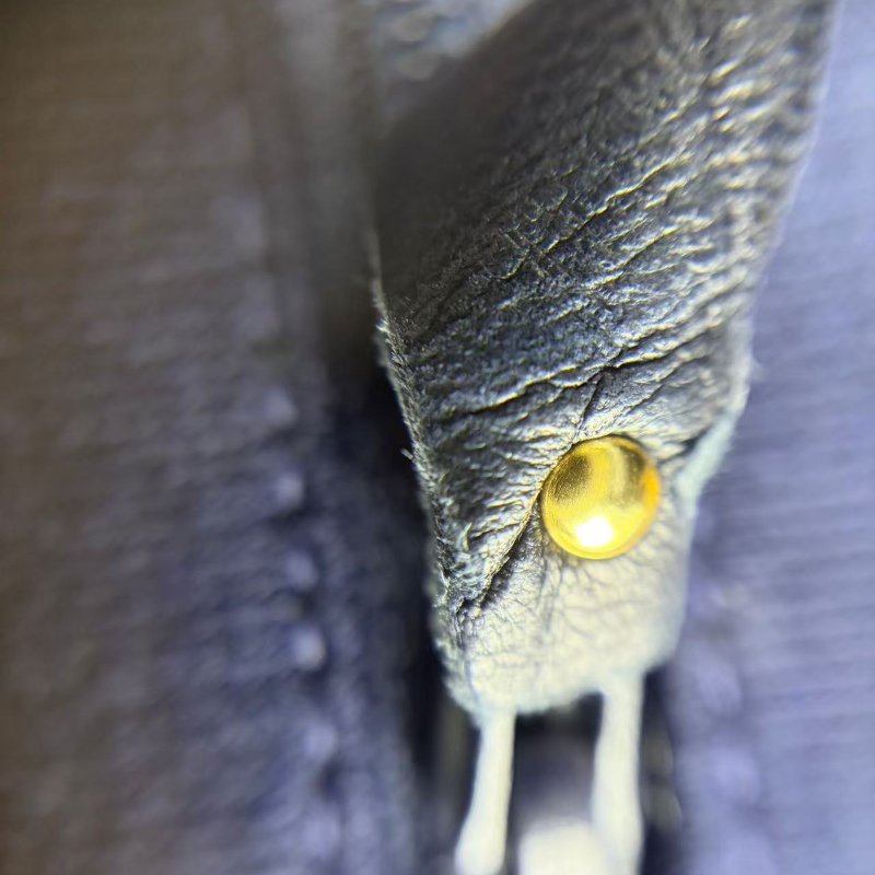 香奈兒 Classic Flap 系列 經典口蓋包-11