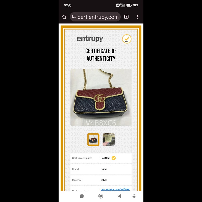 Gucci Marmount 红藍翻蓋相机包-3