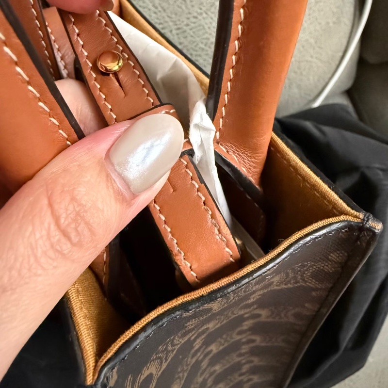 Celine mini cabas琴譜包-14