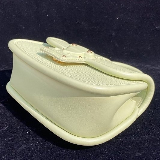 芯片款 路易威登/Louis Vuitton牛油果郵差包 水波紋HIDE AND SEEK 手提包-9