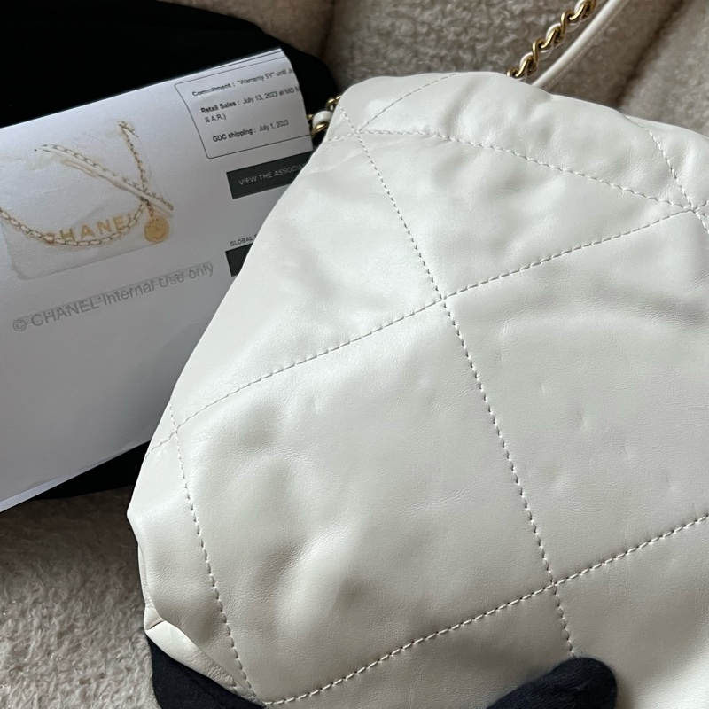 Chanel 22 bag mini 迷你垃圾包(白)-19