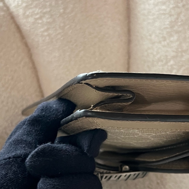 GUCCI Dionysus老花酒神包 - 中號燕麥-11