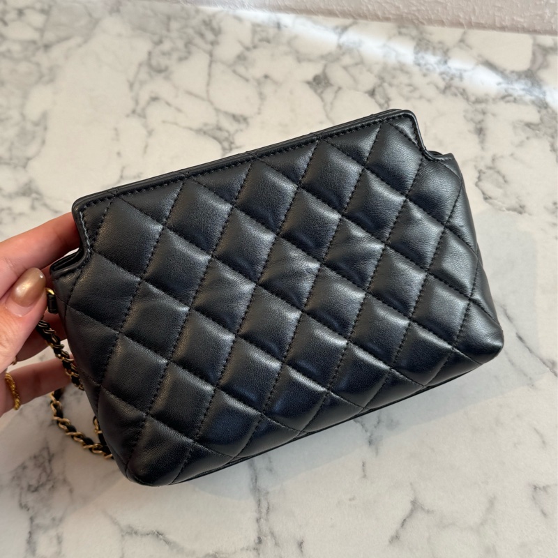 Chanel黑菱格金雙獅子頭吊飾肩背包 特殊款✨✨-3
