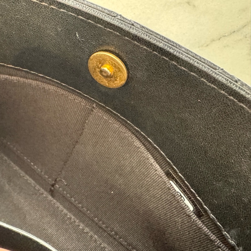 Chanel黑菱格金雙獅子頭吊飾肩背包 特殊款✨✨-22