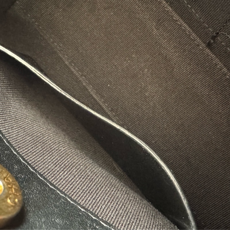 Chanel黑菱格金雙獅子頭吊飾肩背包 特殊款✨✨-24