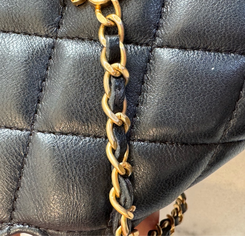 Chanel黑菱格金雙獅子頭吊飾肩背包 特殊款✨✨-28