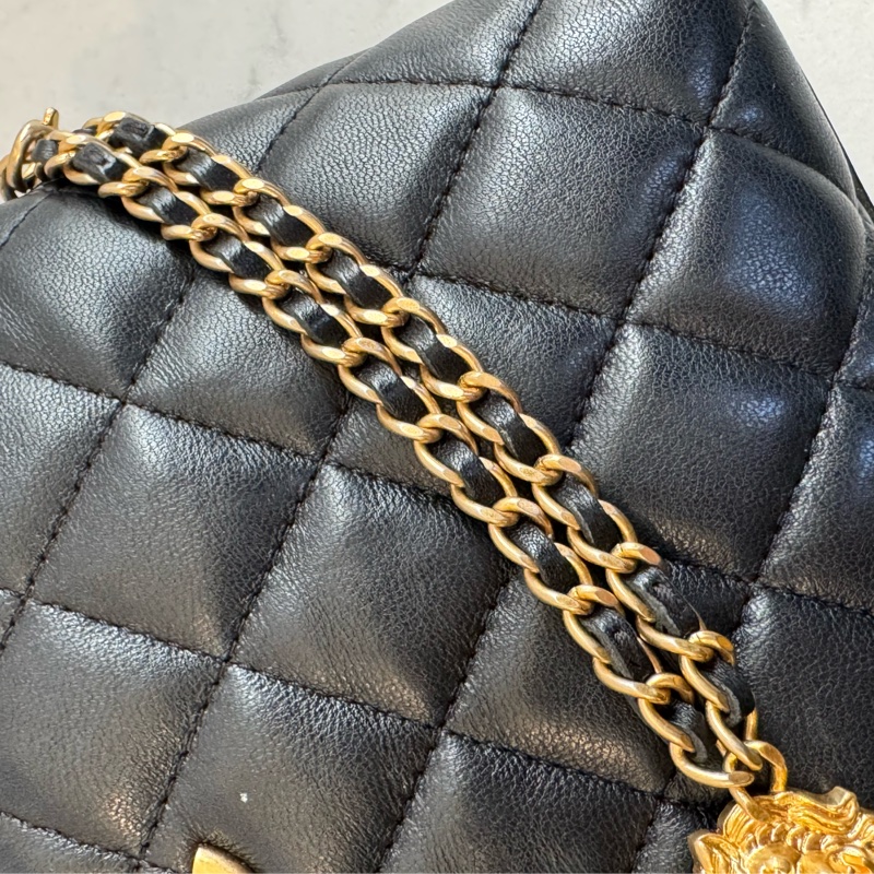 Chanel黑菱格金雙獅子頭吊飾肩背包 特殊款✨✨-29