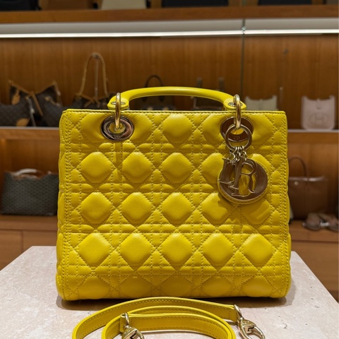 Dior 迪奧 黛妃 五格