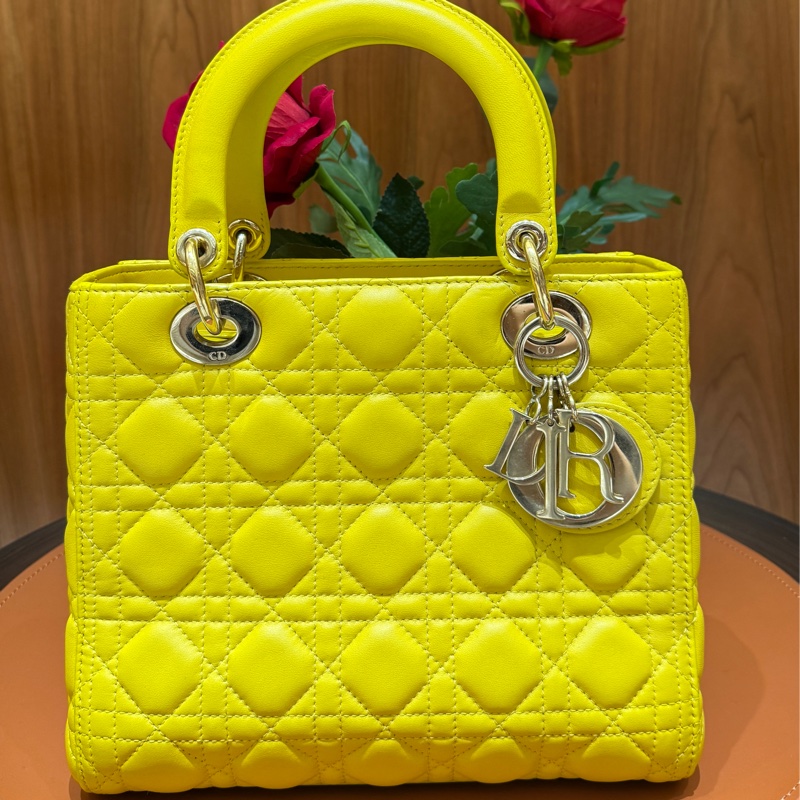 Dior 迪奧 黛妃 五格-1